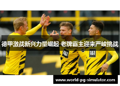 德甲激战新兴力量崛起 老牌霸主迎来严峻挑战 德甲激战新兴力量崛起 老牌霸主迎来严峻挑战
