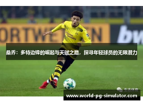 桑乔：多特边锋的崛起与天赋之路，探寻年轻球员的无限潜力