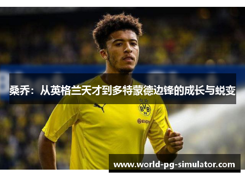 桑乔：从英格兰天才到多特蒙德边锋的成长与蜕变