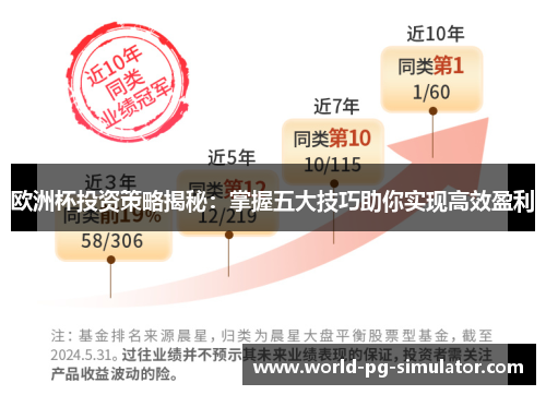 欧洲杯投资策略揭秘：掌握五大技巧助你实现高效盈利
