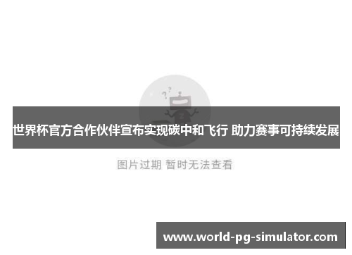 世界杯官方合作伙伴宣布实现碳中和飞行 助力赛事可持续发展
