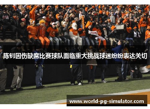 陈钊因伤缺席比赛球队面临重大挑战球迷纷纷表达关切